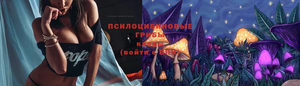 СК Алзамай