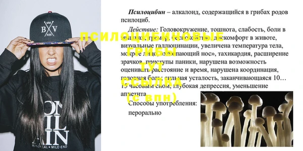 дмт Алексеевка