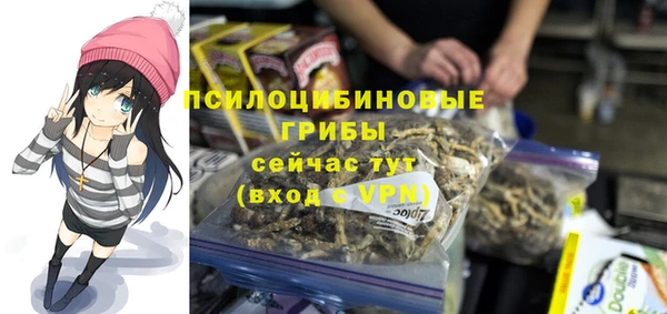 мефедрон Каменногорск