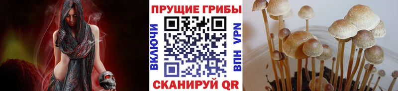 даркнет сайт  Чебоксары  Псилоцибиновые грибы Cubensis 